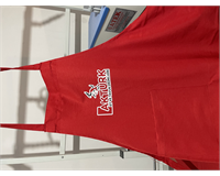 baskı dtf transfer baskı işleri yapılır