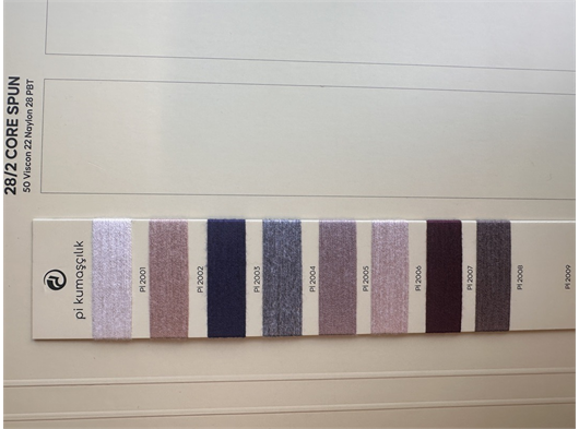 28/2 PBT core spun renkli